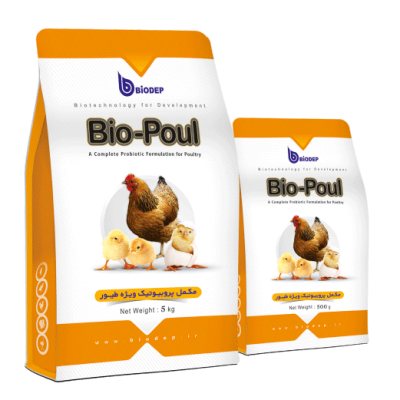 پروبیوتیک-طیور-Bio-Poul