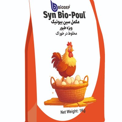 WhatsApp Image 2025-09-23 at 15.07.04_0eac2f77