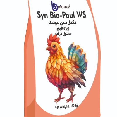 WhatsApp Image 2025-09-23 at 15.07.21_8c6c6b14